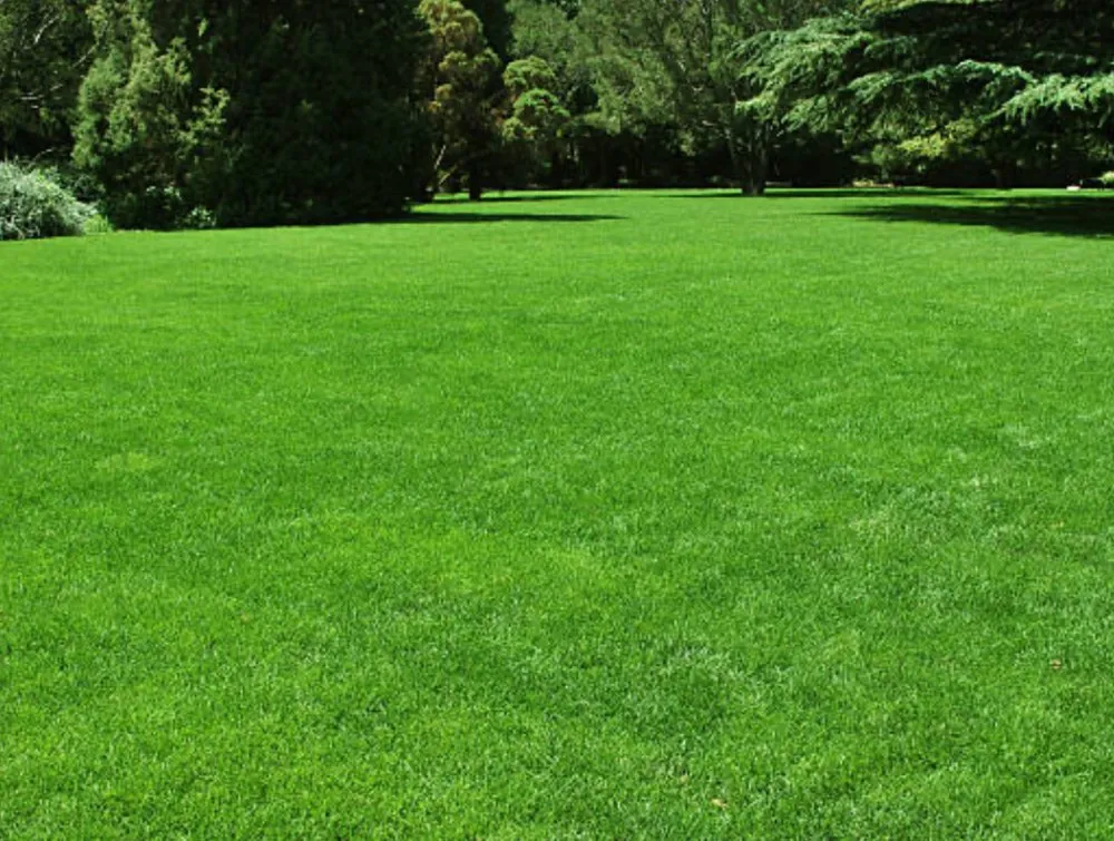 Local yard maintenance for homes in Heyworth, IL by Koltons Lawn Service