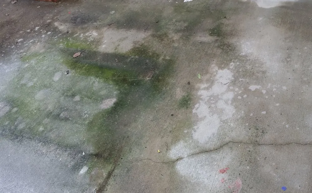 Reliable yard maintenance near you in Snellville, GA by Kom Klean Pressure Washing