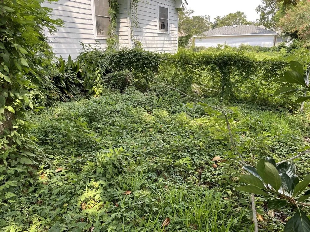 Affordable lawn care service for homes across Chalmette, LA - KoMar Lawn Care Services