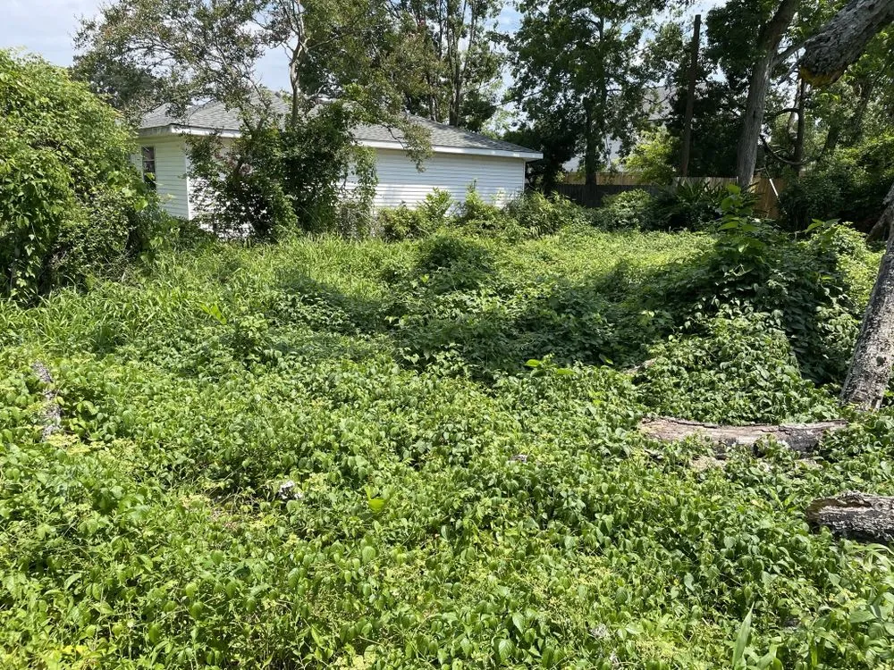 Custom residential landscaping near you across Chalmette, LA - KoMar Lawn Care Services