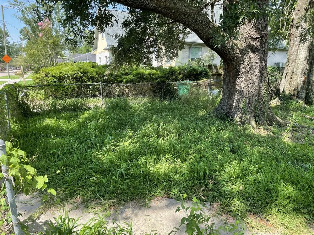 Affordable yard cleanup service experts serving Chalmette, LA - KoMar Lawn Care Services