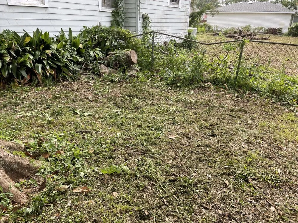 Affordable landscaping services in Chalmette, LA by KoMar Lawn Care Services