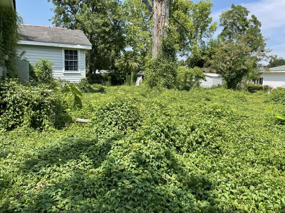 Trusted lawn mowing service for beautiful yards in Chalmette, LA by KoMar Lawn Care Services