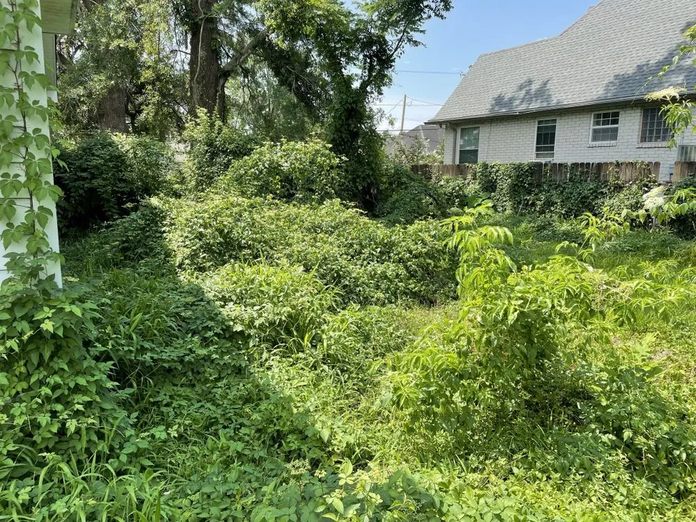 Expert lawn mowing service near you in Chalmette, LA by KoMar Lawn Care Services