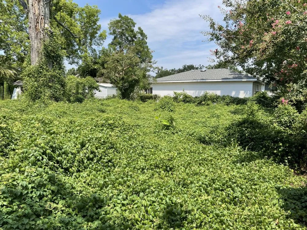 Trusted landscape design experts serving Chalmette, LA - KoMar Lawn Care Services