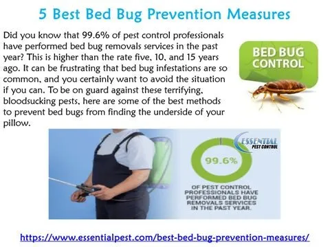 Trusted landscape installation for beautiful yards in Fort Wayne, IN by Kommon Senze