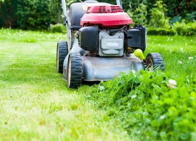 Local lawn mowing service near you in Fort Wayne, IN by Kommon Senze