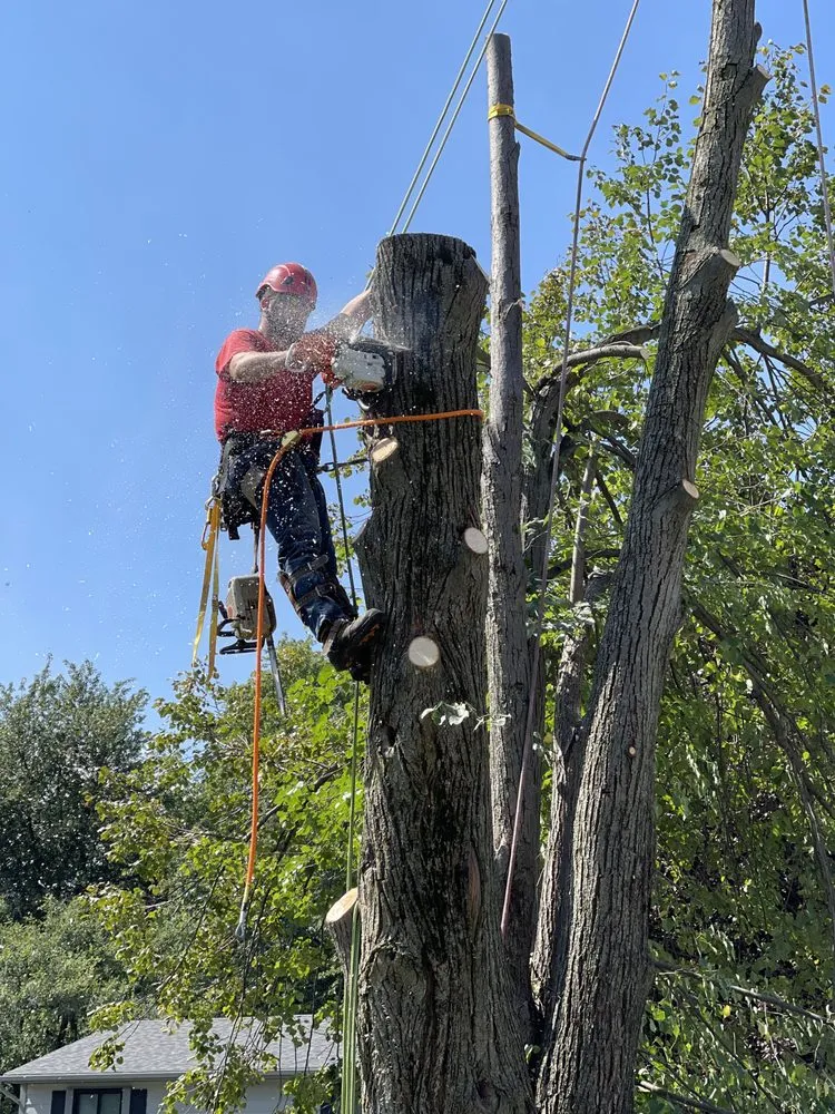 Custom landscape design for year-round maintenance in Oregon, OH by Komon’s Lawn & Tree Service