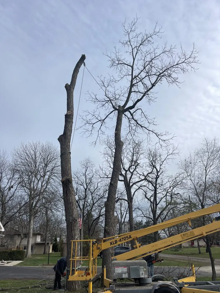 Professional lawn care service experts serving Oregon, OH - Komon’s Lawn & Tree Service