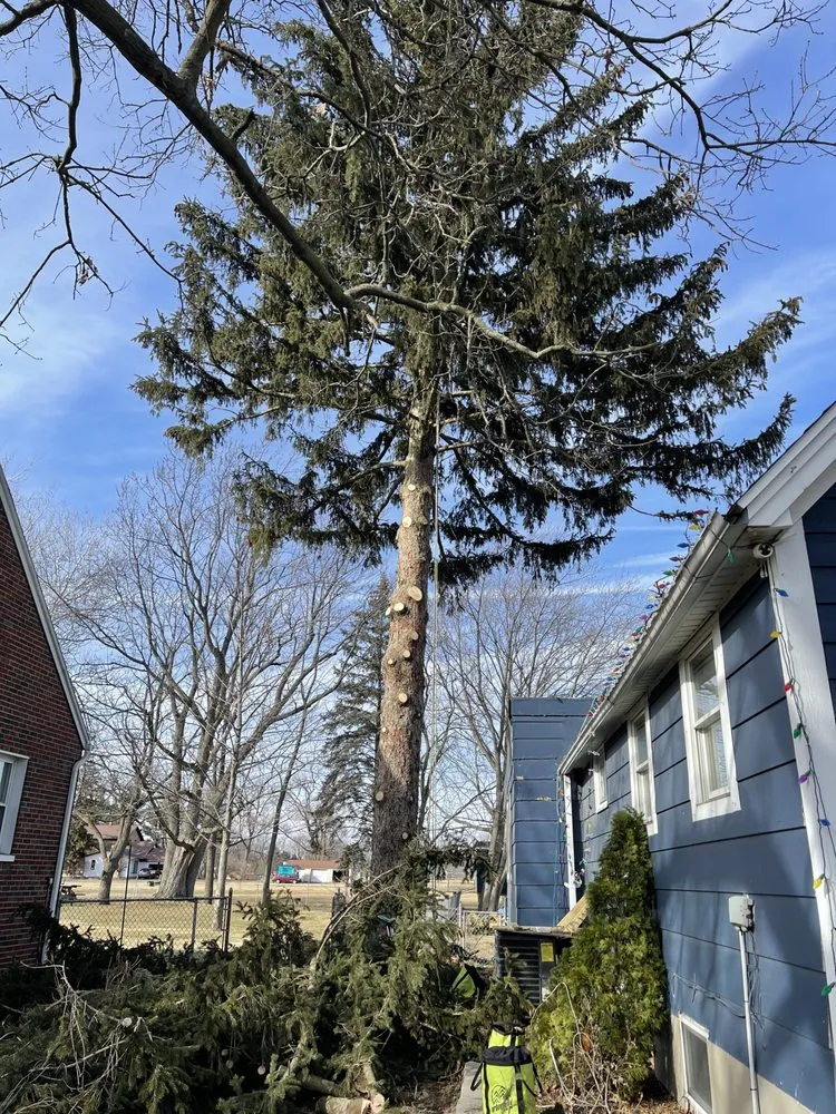 Reliable lawn care service for residential properties in Oregon, OH by Komon’s Lawn & Tree Service