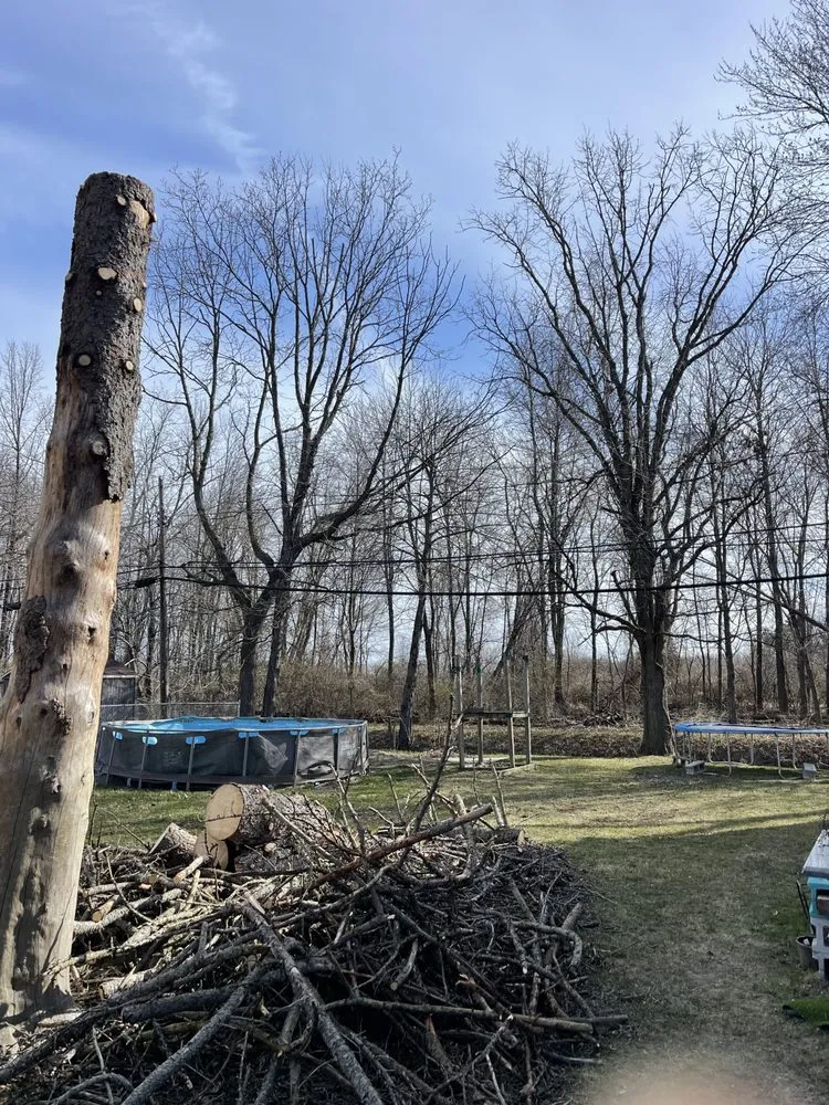 Affordable lawn mowing service in Oregon, OH by Komon’s Lawn & Tree Service