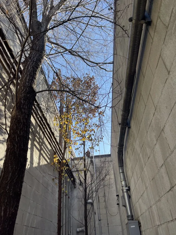 Reliable landscaping services in Oregon, OH - Komon’s Lawn & Tree Service