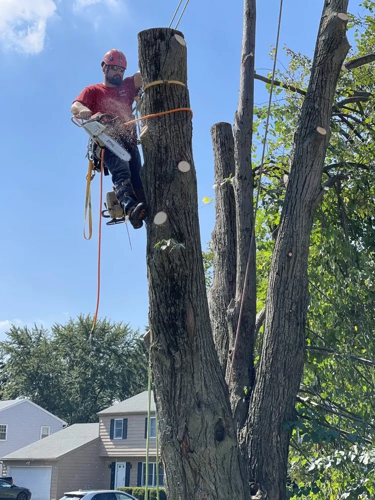 Top-rated landscaping services experts serving Oregon, OH - Komon’s Lawn & Tree Service