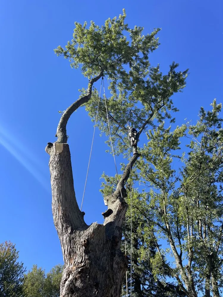 Local garden landscaping with custom design across Oregon, OH - Komon’s Lawn & Tree Service