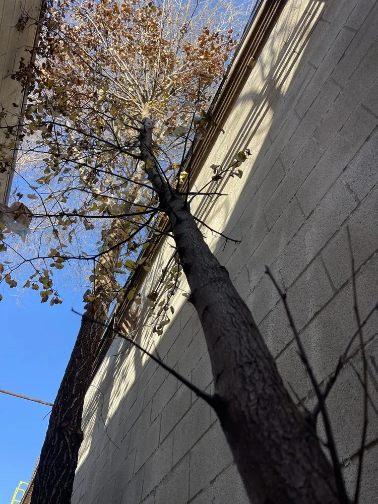 Reliable landscape installation experts serving Oregon, OH - Komon’s Lawn & Tree Service