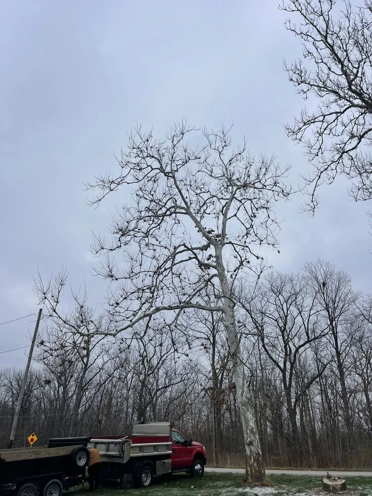 Custom yard maintenance experts serving Oregon, OH - Komon’s Lawn & Tree Service