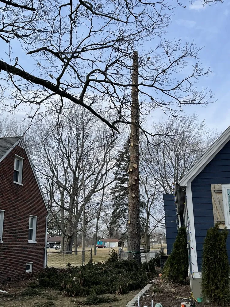 Professional lawn care service in Oregon, OH by Komon’s Lawn & Tree Service