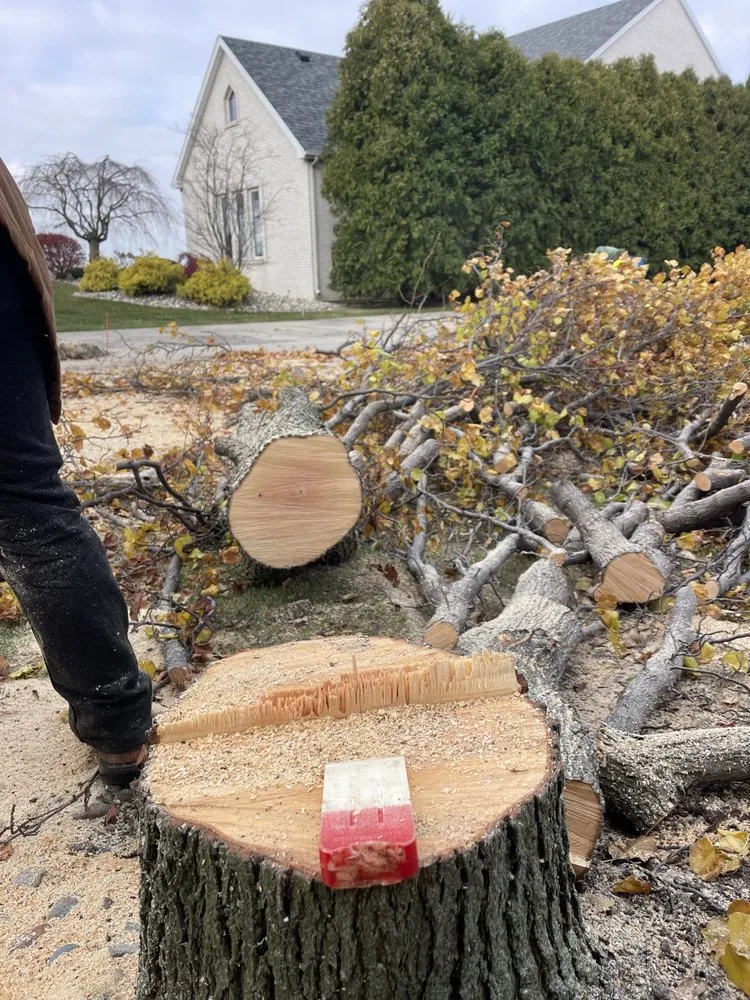 Professional landscaping services for beautiful yards in Oregon, OH by Komon’s Lawn & Tree Service