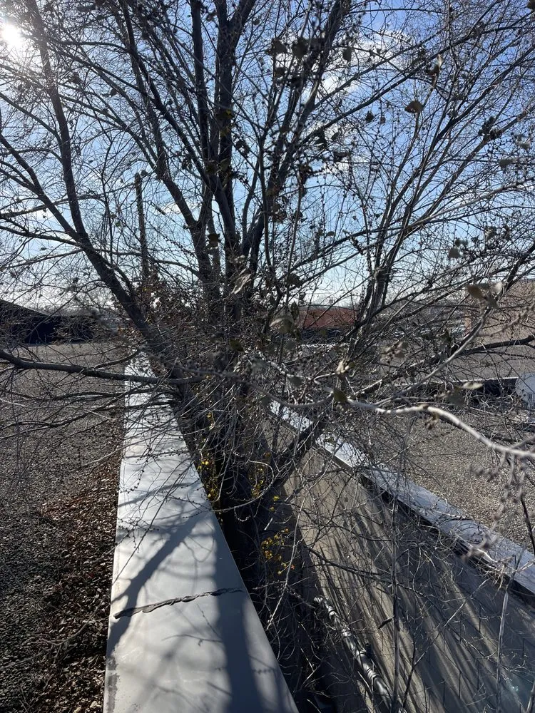 Custom outdoor landscaping with custom design across Oregon, OH - Komon’s Lawn & Tree Service