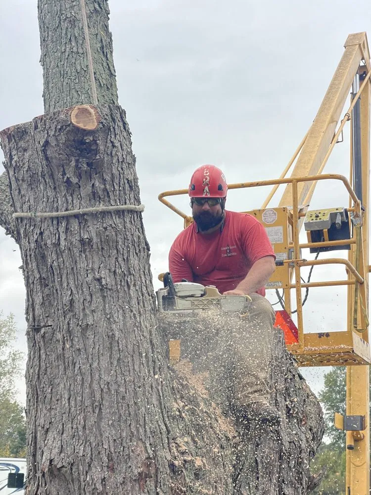 Professional landscaping services for residential properties in Oregon, OH by Komon’s Lawn & Tree Service