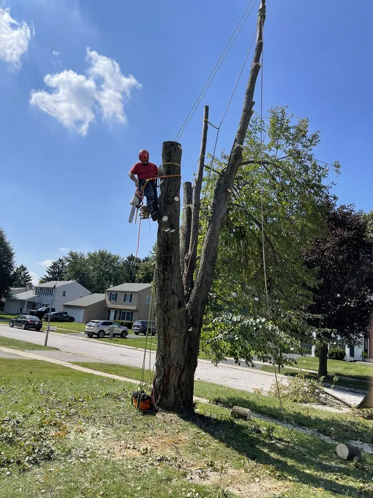 Top-rated landscaping services in Oregon, OH - Komon’s Lawn & Tree Service