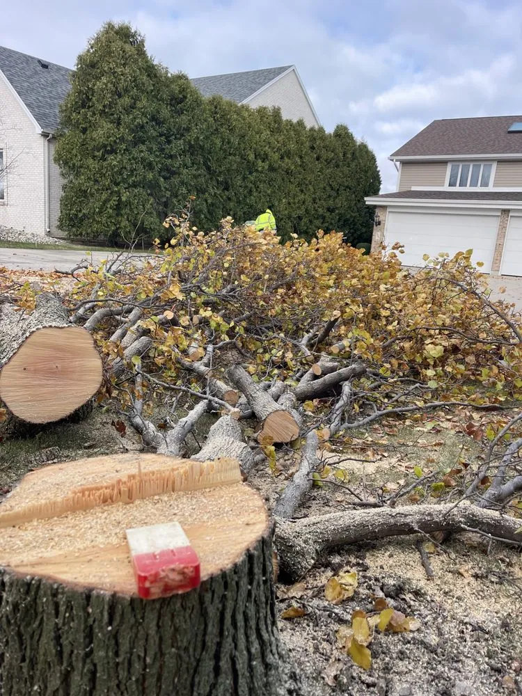 Professional outdoor landscaping in Oregon, OH - Komon’s Lawn & Tree Service