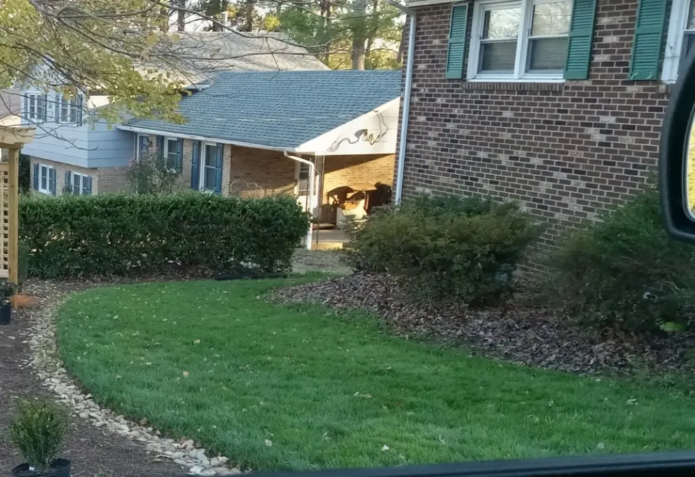 Trusted garden landscaping experts serving Durham, NC - Komorebi Outdoor Services