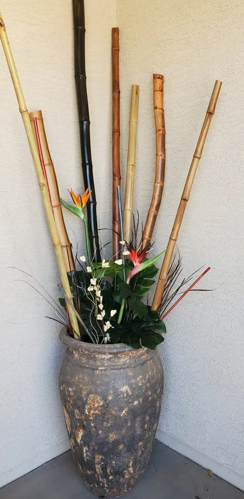 Affordable outdoor landscaping in Tempe, AZ by Kona Land & Water Escape