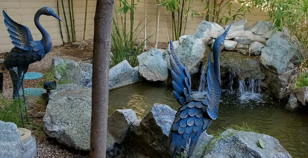 Reliable landscaping services in Tempe, AZ by Kona Land & Water Escape