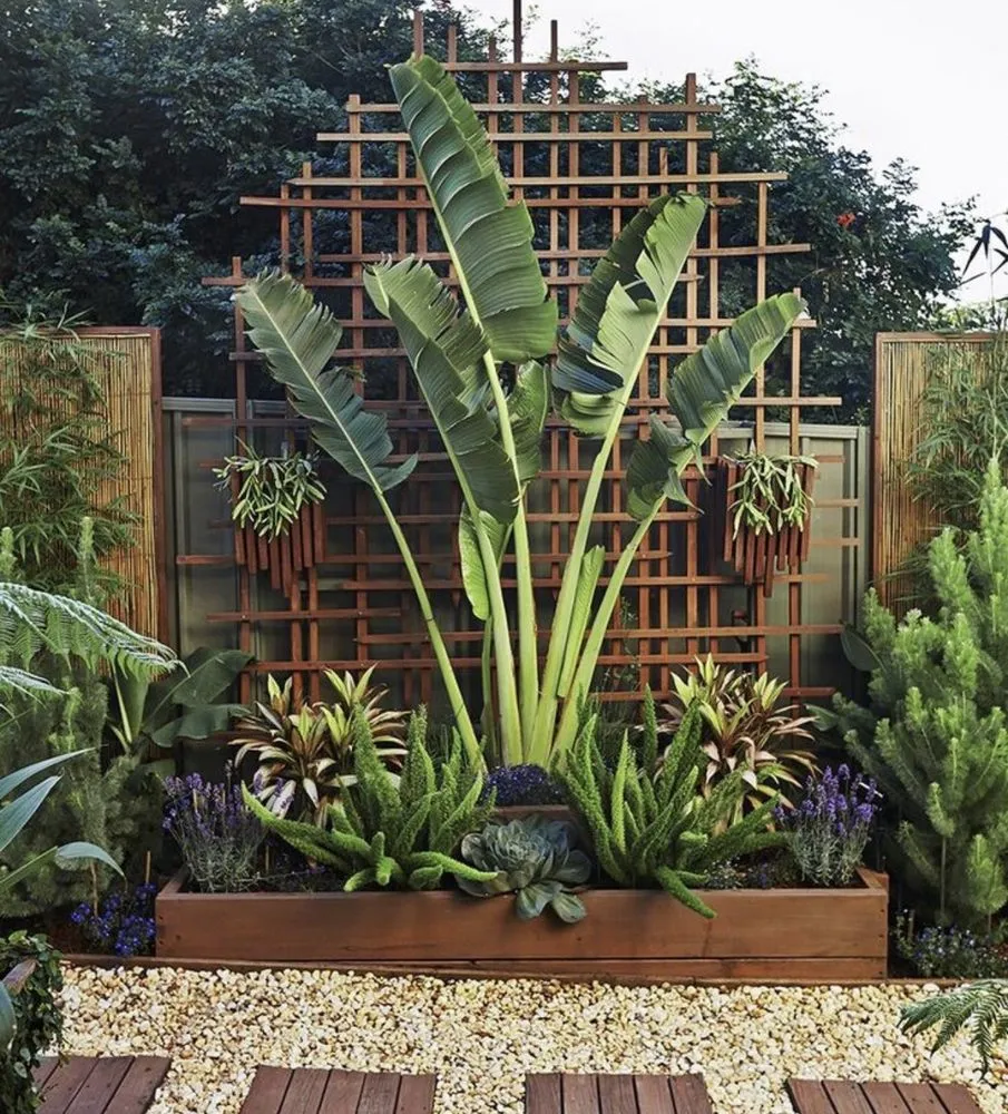 Professional lawn care service for homes in Kailua Kona, HI by Kona Side Gardening