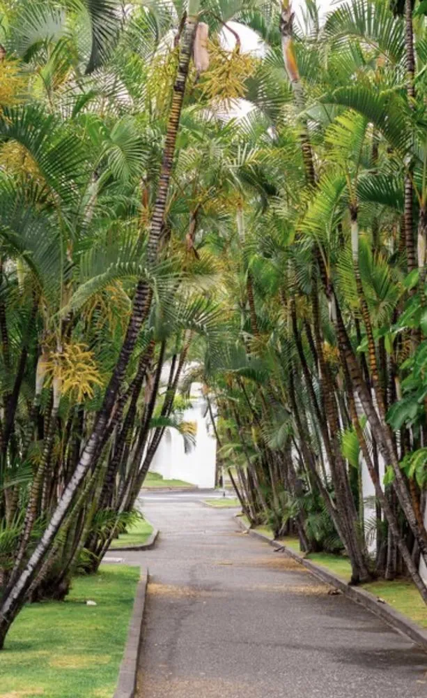 Custom yard maintenance experts serving Kailua Kona, HI - Kona Side Gardening