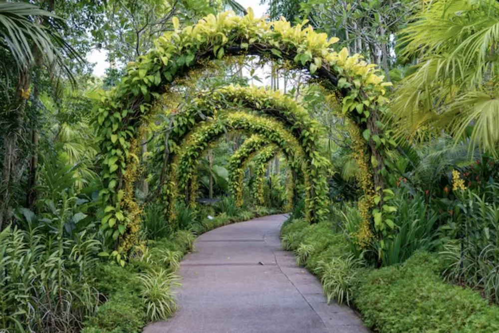 Professional lawn care service for homes across Kailua Kona, HI - Kona Side Gardening