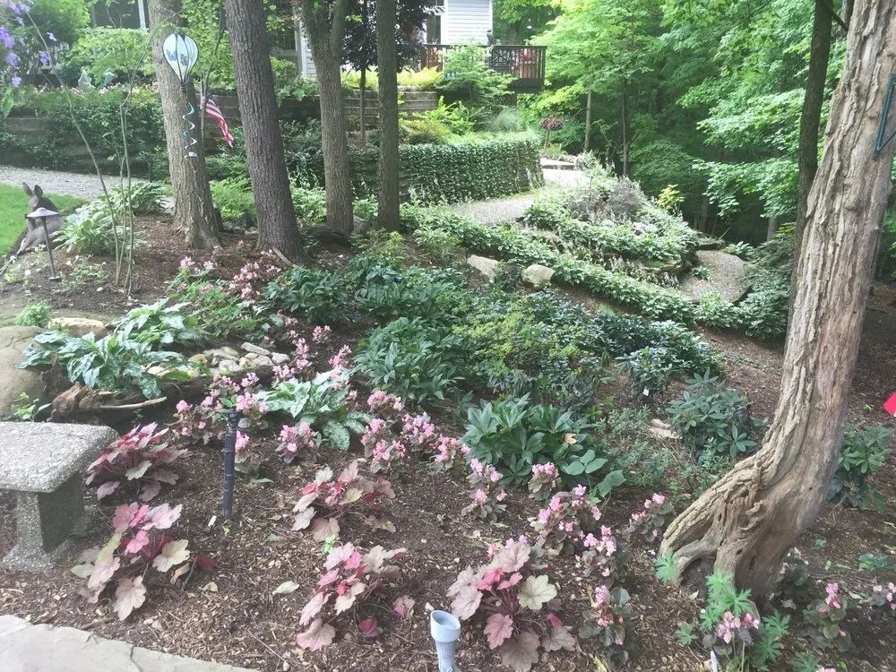 Reliable yard cleanup service in Waynesville, OH by Konen Landscape