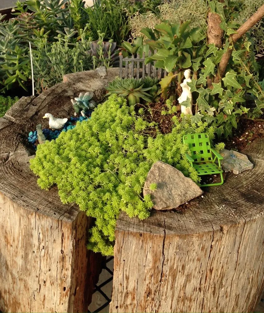 Top-rated lawn care service for outdoor upgrades in Andover, MA by Konjoian's Greenhouses & Landscape Solutions