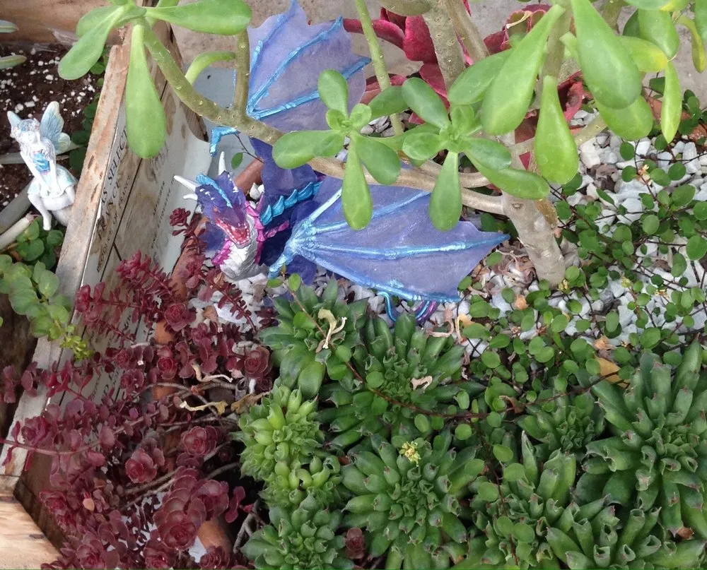 Custom yard cleanup service experts serving Andover, MA - Konjoian's Greenhouses & Landscape Solutions