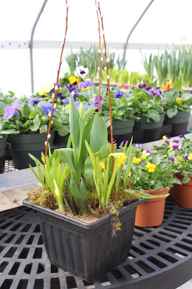 Local lawn care service in Andover, MA - Konjoian's Greenhouses & Landscape Solutions