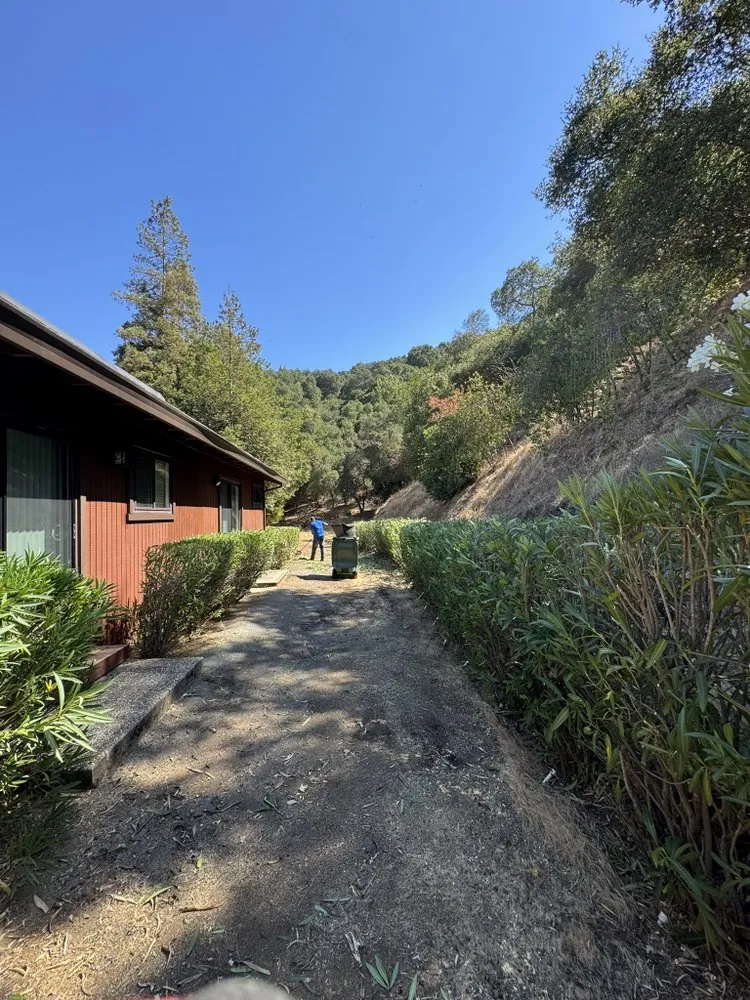 Affordable lawn care service with custom design across San José, CA - Konoha Landscaping