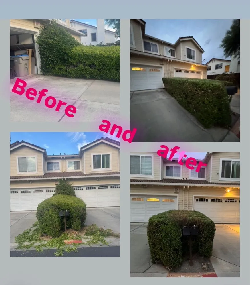 Custom yard maintenance for homes across San José, CA - Konoha Landscaping