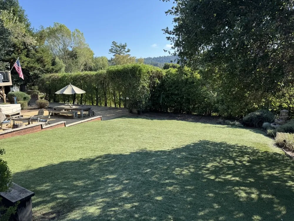Trusted yard maintenance in San José, CA - Konoha Landscaping