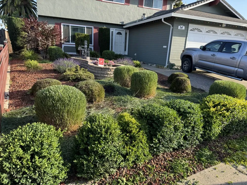 Trusted landscape installation with custom design in San José, CA by Konoha Landscaping