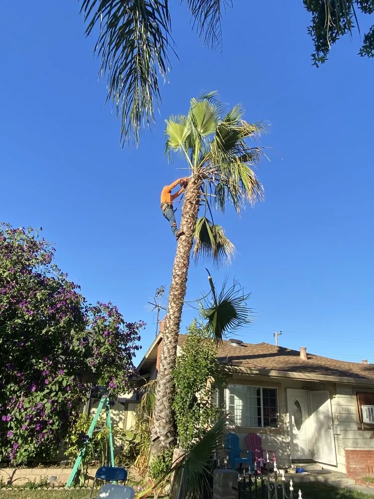 Expert lawn mowing service in San José, CA by Konoha Landscaping