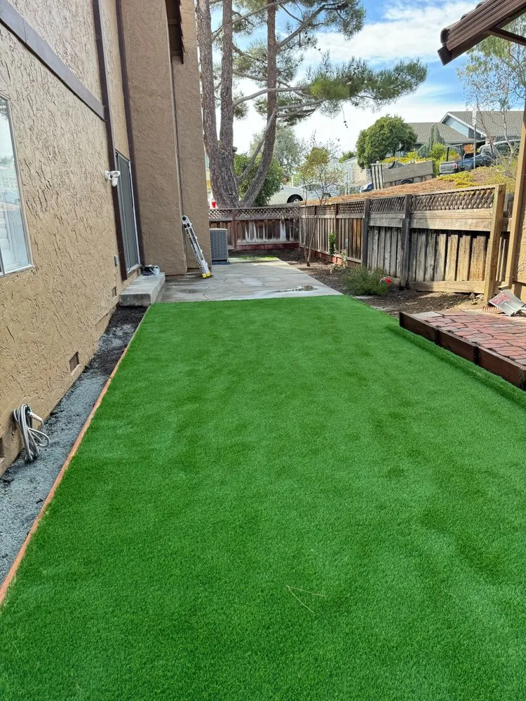 Affordable yard cleanup service in San José, CA - Konoha Landscaping