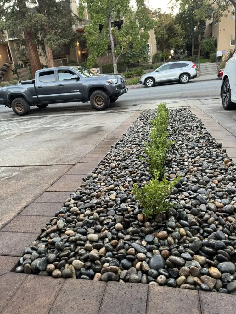 Professional garden landscaping for homes in San José, CA by Konoha Landscaping