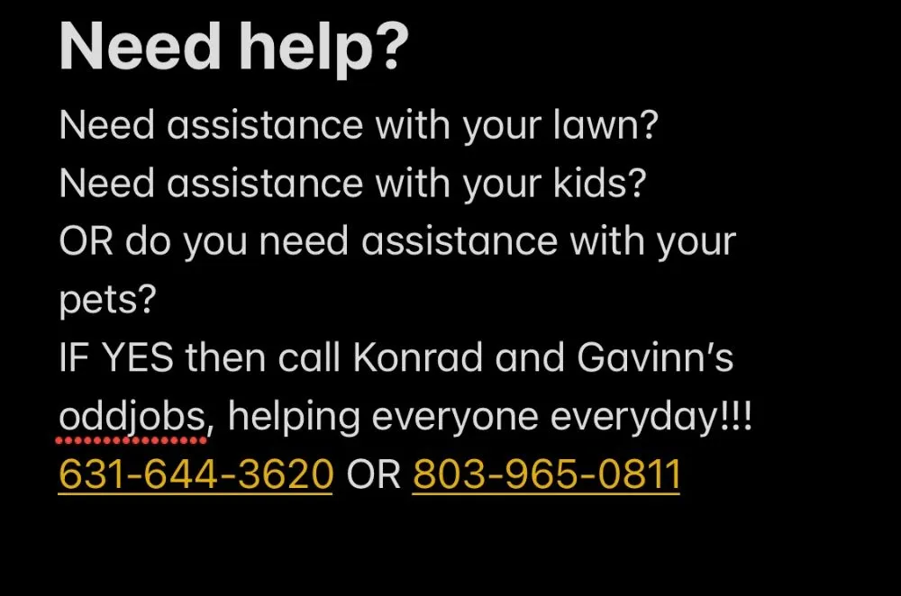 Custom yard cleanup service for homes across Lake Wylie, SC - Konrad and Gavinn odd jobs