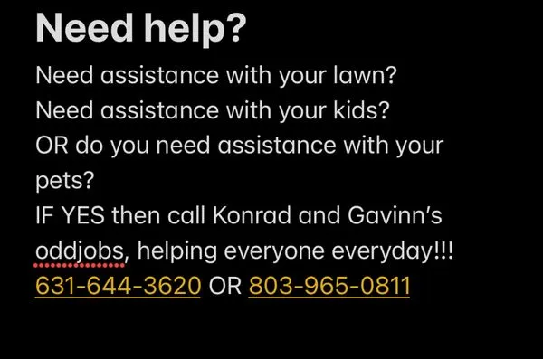 Konrad and Gavinn odd jobs