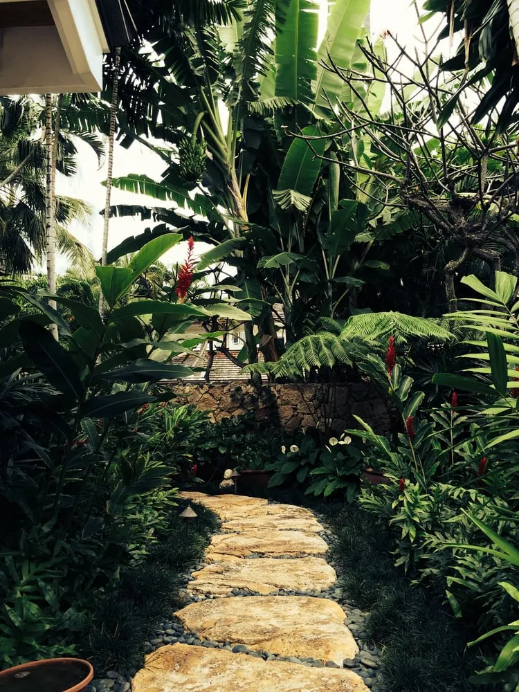 Affordable yard cleanup service in Kailua, HI by Koolau Landscaping