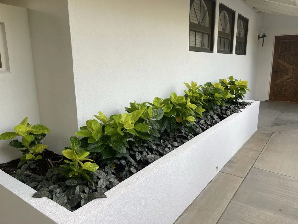 Trusted outdoor landscaping with custom design in Kailua, HI by Koolau Landscaping