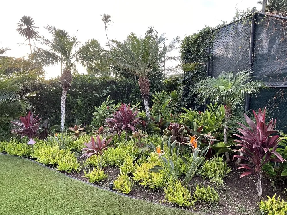 Reliable outdoor landscaping in Kailua, HI by Koolau Landscaping