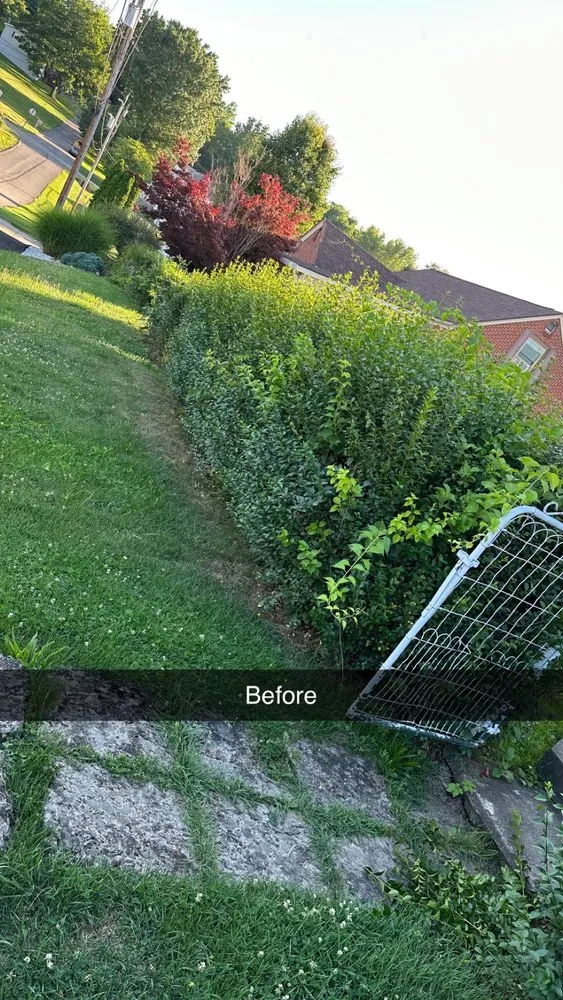 Expert landscaping services for residential properties across Uniontown, PA - Koonie Lawn and Land