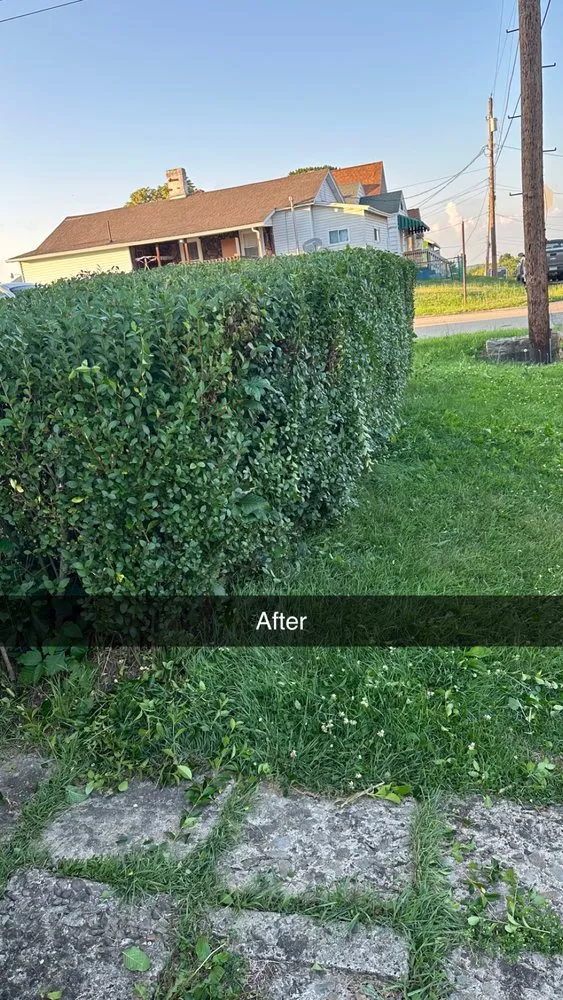 Reliable landscape design in Uniontown, PA by Koonie Lawn and Land